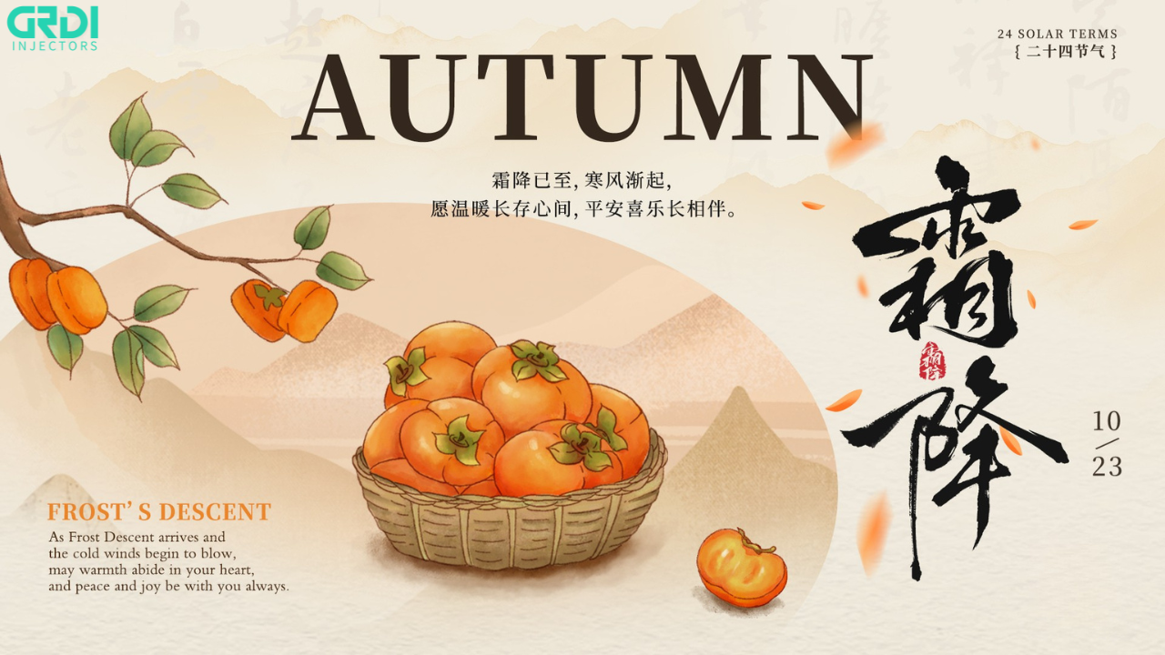 Frost Descent Special on 6H4Q-9k546-EB and 33800-2U000 CRDI Injectors